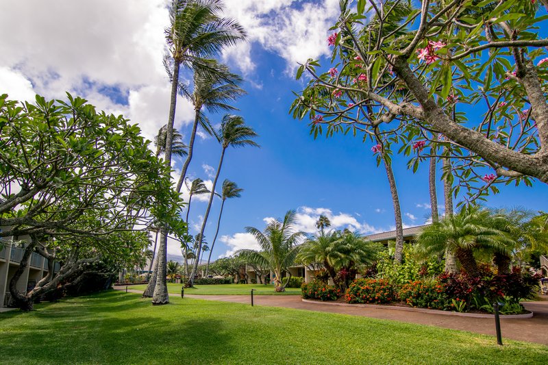 Last moment vacation deals to Maui